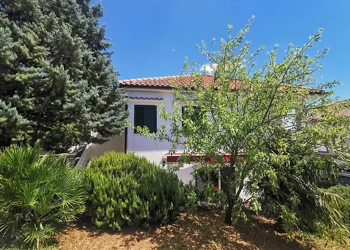 Apartman Amazing In *